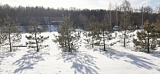 Приглашаем Старый Новый год встретить в Лесной сказке.