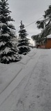 Устали от грязного снега? А в "Лесной сказке" настоящая зима.